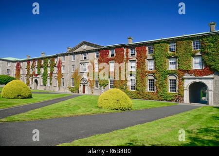 Irland, County Kildare, Maynooth, St Patrick's College, Efeu bedeckt Abschnitt der Hochschule als Stoyte House bekannt. Stockfoto