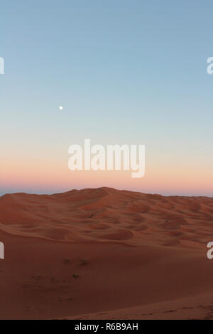 Mond über Sanddünen der Sahara Stockfoto