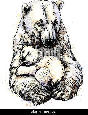 Mit Polar Bear Cub von einem Splash von Aquarell, handgezeichnete Skizze Stock Vektor