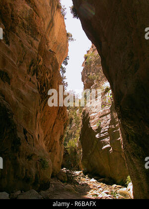 (Avgas) Avakas Schlucht, Paphos, Zypern: Schlucht und senkrechte Felswände Stockfoto