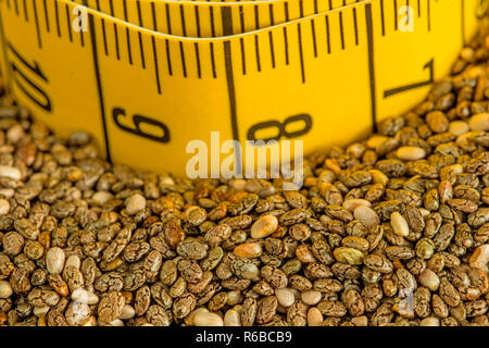 Chia Samen, Salvia Hispanica, für Ernährung Stockfoto