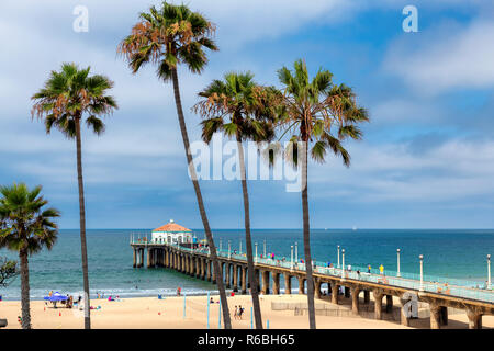 Palmen auf Manhattan Beach Stockfoto