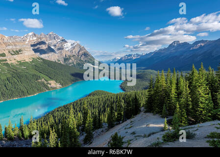 Peyto Lake im Banff National Park Stockfoto