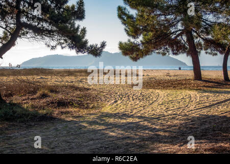 Keramoti Strand durch Zedern. Am Horizont sichtbar ist Silhouette von Thassos. Ägäis. Stockfoto