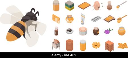 Bienenhaus Icon Set, isometrische Stil Stock Vektor