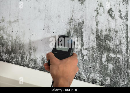 Person messen Nässe von Schimmel an der Wand Stockfoto