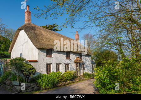 Ein malerisches Reetdachhaus in einer ruhigen Seitenstraße im Church Cove auf der Lizard Halbinsel in der Nähe von Lizard Village, Cornwall, England Stockfoto