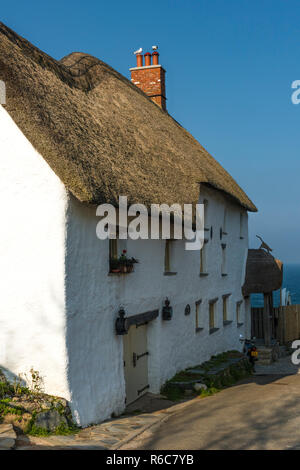 Ein malerisches Reetdachhaus in einer ruhigen Seitenstraße im Church Cove auf der Lizard Halbinsel in der Nähe von Lizard Village, Cornwall, England Stockfoto