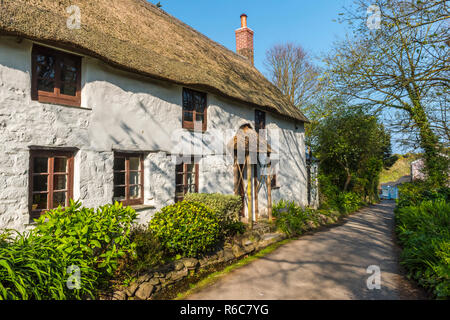 Ein malerisches Reetdachhaus in einer ruhigen Seitenstraße im Church Cove auf der Lizard Halbinsel in der Nähe von Lizard Village, Cornwall, England Stockfoto