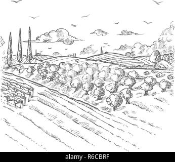 Olivenbäume Garten. Hand Vector Illustration gezeichnet Stock Vektor