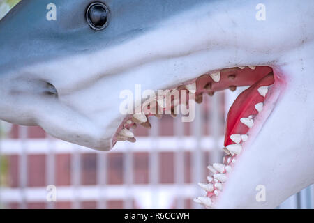 Shark, Modell eines Kopfes Stockfoto