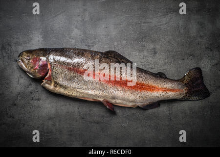 Roher Lachs Fisch ganz mit Zutaten zum Kochen auf Schwarz. Stockfoto