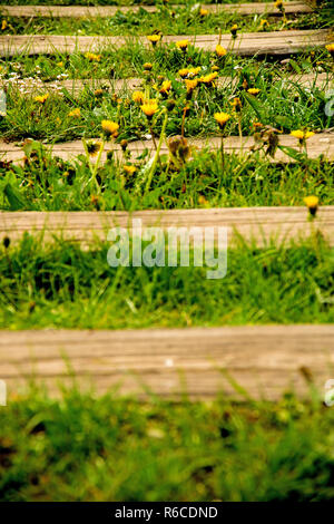 Schienen aus Um mit Blumen Stockfoto
