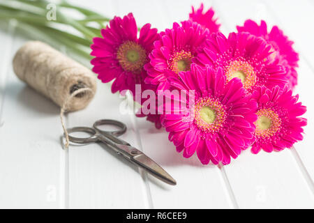 Rosa Gerbera Blumen. Stockfoto