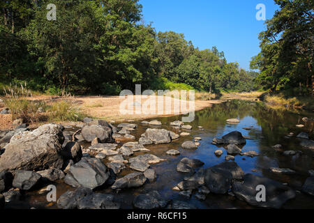 Kanha National Park - Indien Stockfoto