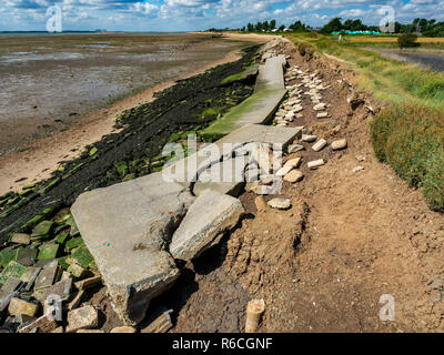 Beschädigte Strand Abwehr East Mersea Island Essex Stockfoto