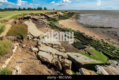 Beschädigte Strand Abwehr East Mersea Island Essex Stockfoto