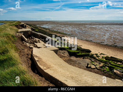 Beschädigte Strand Abwehr East Mersea Island Essex Stockfoto