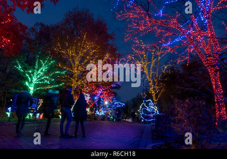 Zoolights Eingang am Washington National Zoo, eine jährliche kostenlose nächtliche Urlaub Anziehung, mit 1,5 Millionen LED-Leuchten, läuft Ende Nov. bis Jan. 1. Stockfoto