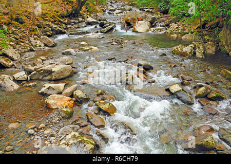 Cabin Creek in den Smokies Berge im Frühling. Stockfoto