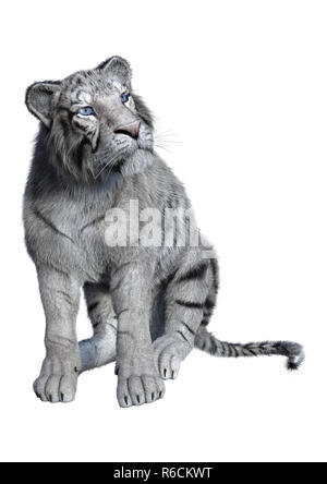 3D-Rendering White Tiger auf Weiß Stockfoto