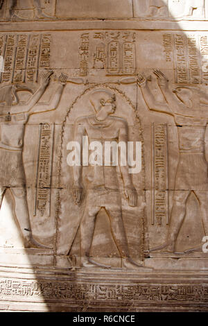 Bas Relief geschnitzte Bilder auf eine Wand der Tempel von Kom Ombo, Kom Ombo, Assuan Governorate, Ägypten. Stockfoto