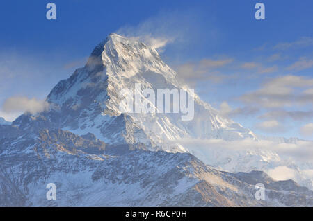 Annapurna Süd Blick vom Poon Hill, Ghorepani, Dhaulagiri Massiv, Himalaya, Nepal Stockfoto