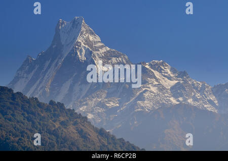 Nepal, Annapurna Conservation Area, matschaputschare oder machhapuchhre Fish Tail, Berg im Annapurna Himal von North Central Nepal Stockfoto