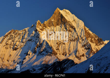 Nepal, Annapurna Conservation Area, matschaputschare oder machhapuchhre Fish Tail, Berg im Annapurna Himal von North Central Nepal, Ansicht von annapur Stockfoto