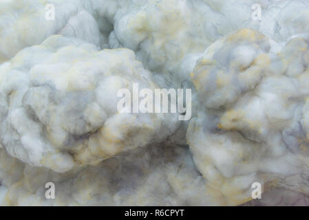 Smoky farbige Baumwolle, Wolken, Hintergrund Stockfoto