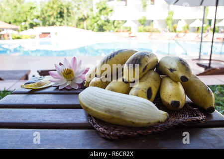 Gelbe Bananen angebaut, Raw Organic Gelb Baby Bananen in einem Bündel Stockfoto