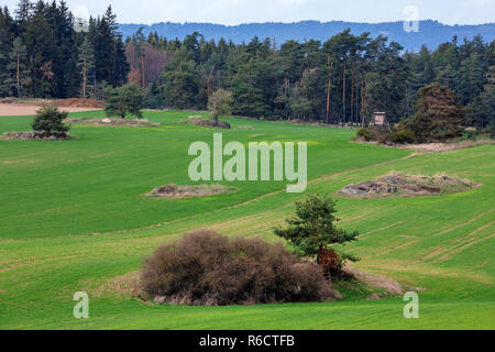 Jagd Turm im Frühjahr ländliche Landschaft Stockfoto