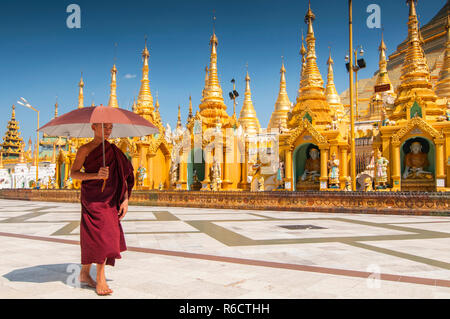 Anfänger buddhistischer Mönch gehen Um die Shwedagon Paya die Heiligen goldenen buddhistischen Pagode in Yangon, Myanmar Stockfoto