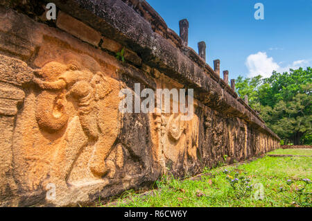 In Stein Elefanten auf den Rat der Kammer in der Weltkulturerbe Stadt Polonnaruwa, Sri Lanka geschnitzt Stockfoto