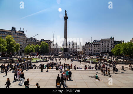 Trafalgar Square und Nelson's Column, London, England, Vereinigtes Königreich Stockfoto