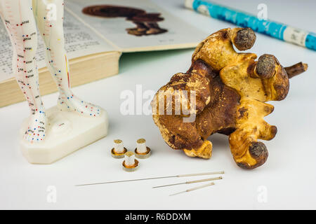 Akupunktur Nadeln, Modell, Lehrbuch, Moxa Roll und Reishi Pilz Stockfoto