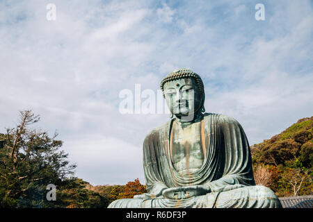 Der große Buddha Statue an Kotoku-in Tempel in Kamakura, Japan Stockfoto