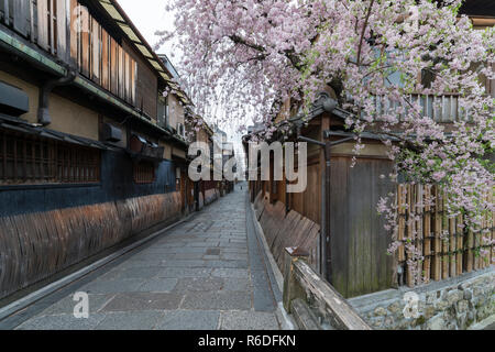 Eine Straße im Stadtteil Gion von Kyoto während Kirsche Blütezeit, Japan Stockfoto