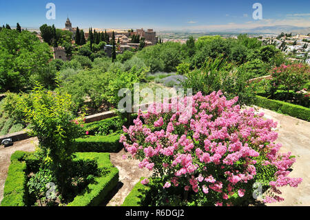 Spanien-Andalusien-Granada-Alhambra-Palast blühenden Baum und dem Sacromonte Hügel aus den Gärten des Generalife Stockfoto