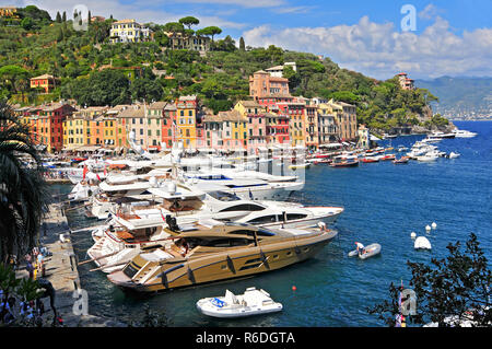 Luxus Yachten im Hafen von Portofino mit der Stadt hinter, Italienische Riviera, Ligurien, Italien Stockfoto