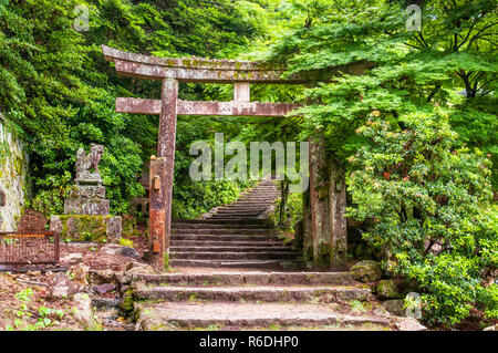 Torii Tor und Schritte des Daisho-In Tempel, der Insel Miyajima, Western Honshu, Japan Stockfoto