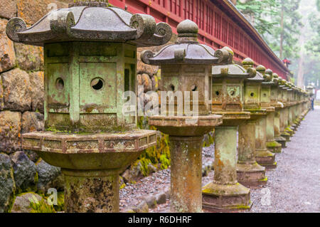 Steinlaternen auf der Seite der Toshogu Schrein, die dazu führen, dass der Weg zum Heiligtum Futarasan in Nikko, Tochigi, Japan Stockfoto