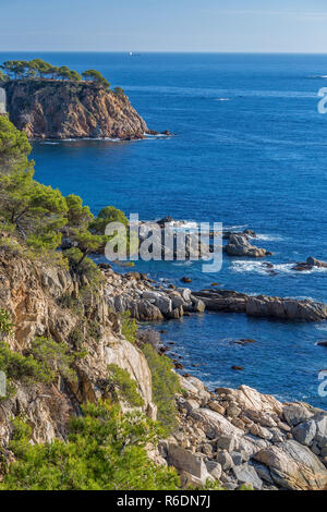 Nettes Detail aus Costa Brava Küsten in Spanien, La Fosca Stockfoto