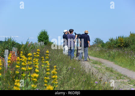 Eine Gruppe französischer Vogelkundler aus dem Gers Verein Vogel Vögel im Parc Naturel des Grand Causses. Abt. 12. Aveyron. Stockfoto