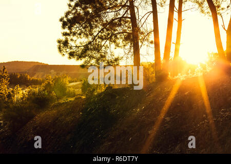 Sonnenstrahlen bei Sonnenuntergang zwischen die Bäume mit den Bergwerken im Hintergrund Stockfoto