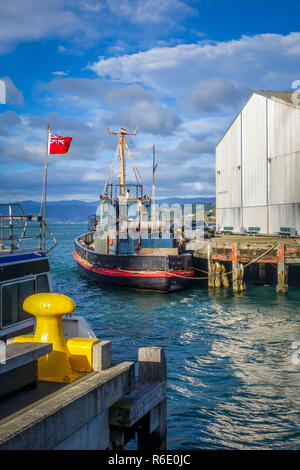 Hafen von Wellington, Neuseeland Stockfoto