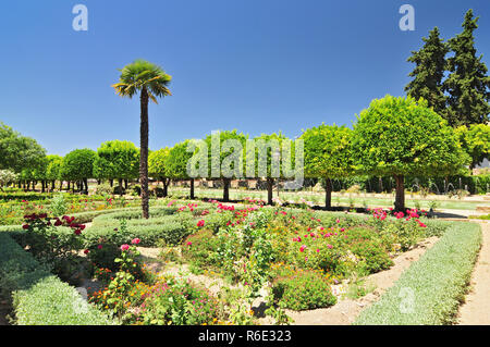 Die Gärten des Alcazar Festung Der christlichen Monarchen in Cordoba, Andalusien, Spanien Stockfoto