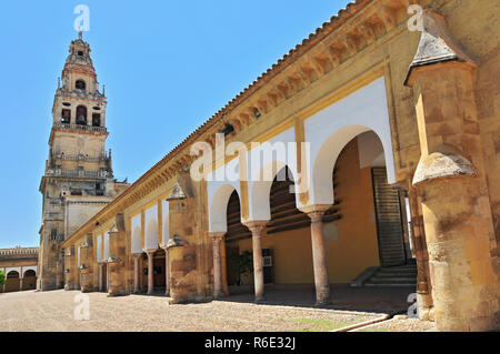 Cordoba Spanien Alminar Turm von La Mezquita, die Große Moschee von innen gesehen, Patio de Los Naranjos Stockfoto