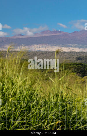 Honomū, Hawaii - Mauna Kea, eine 13,802 'ruhenden Vulkan, mit astronomischen Observatorien in der Nähe der Gipfel. Stockfoto