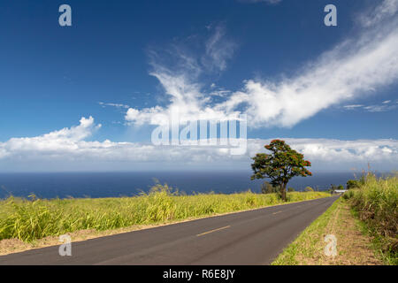 Pa'auilo, Hawaii - einer ländlichen Straße auf der grossen Insel Hamakua Küste über dem Pazifischen Ozean. Stockfoto